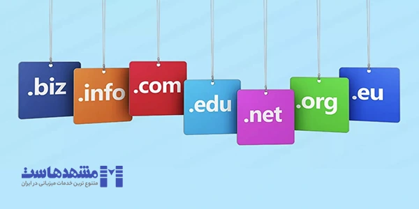 انواع پسوند دامنه